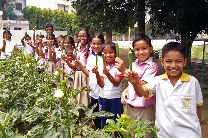 Modern Senior Secondary School, Patiala, offers diverse co-curricular activities